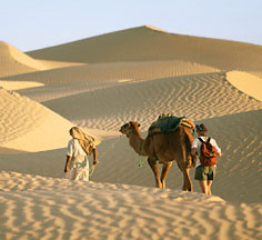 Путешествие участников группы Жана Франсуа Виберта с верблюдом по барханам Сахары