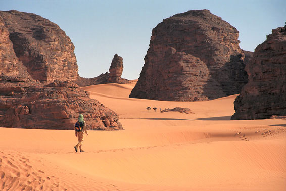 Зал монументальной скульптуры в музее пустыни Сахара