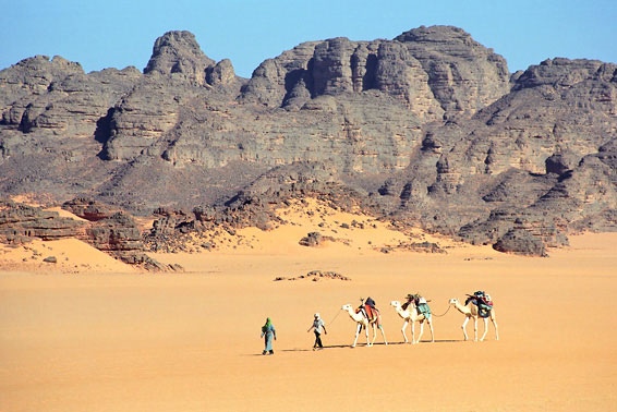С караваном в самый дальний зал музея пустыни Сахара