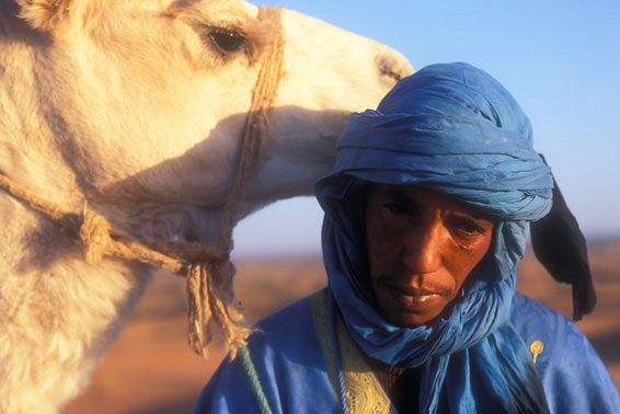 Кормилец и друг марокканского бербера