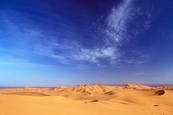 Желтые и синие краски пустыни Сахара