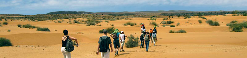 Французские туристы в пустыне