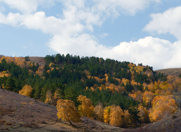 Золотая осень в горах Кент