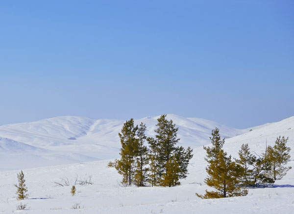 Казахский мелкосопочник зимой