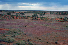 Такыр в Австралиской Пустыне