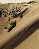 барханы в песках Чиль-Мамед-Кум