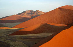 Песчаные дюны пустыни Калахари