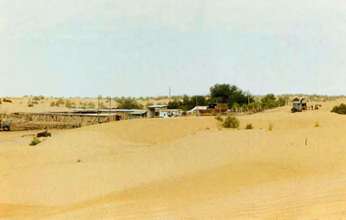 Вид на оазис Бурикалп с востока