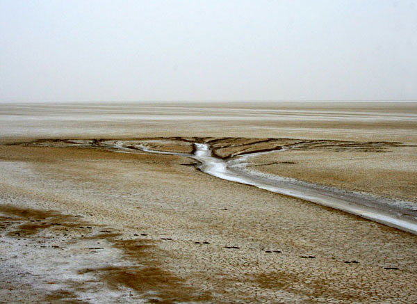 Устье пересыхаюшей летом реки в пустыне Мангышлака